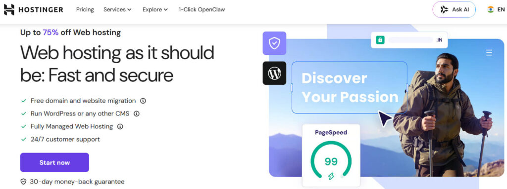 Hostinger Web Hosting